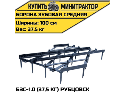 Борона зубовая средняя БЗС-1.0 (37,5 кг) Рубцовск Борона зубовая средняя БЗС-1.0 (37,5 кг) Рубцовск